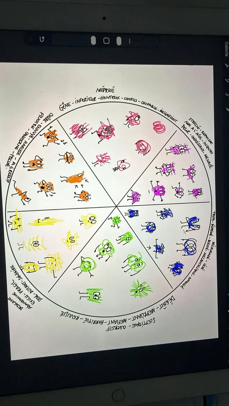 la roue des emotions